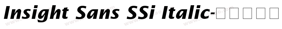 Insight Sans SSi Italic字体转换